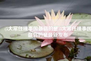 (5大常任理事国最弱的是)5大常任理事国最弱的是最新发布