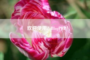 欢迎使用Z-BlogPHP！
