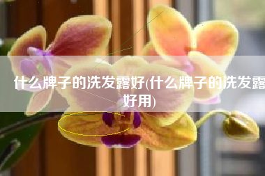 什么牌子的洗发露好(什么牌子的洗发露好用) 什么牌子的洗发露好(什么牌子的洗发露好用)