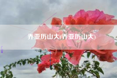 乔亚历山大(乔亚历山大) 乔亚历山大(乔亚历山大)