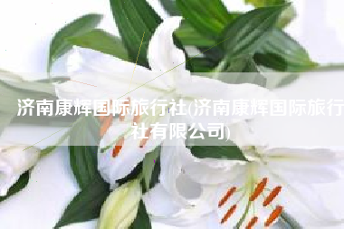 济南康辉国际旅行社(济南康辉国际旅行社有限公司)