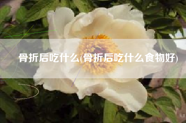 骨折后吃什么(骨折后吃什么食物好)