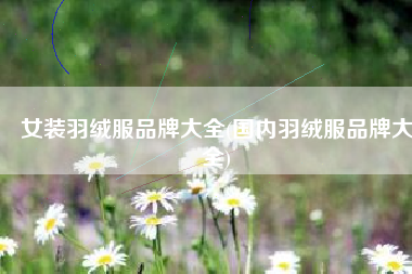 女装羽绒服品牌大全(国内羽绒服品牌大全) 女装羽绒服品牌大全(国内羽绒服品牌大全)