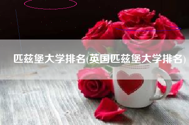 匹兹堡大学排名(英国匹兹堡大学排名) 匹兹堡大学排名(英国匹兹堡大学排名)