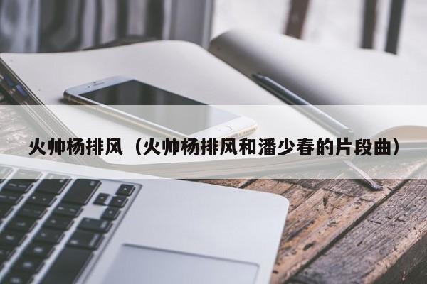 火帅杨排风(火帅杨排风和潘少春的片段曲)