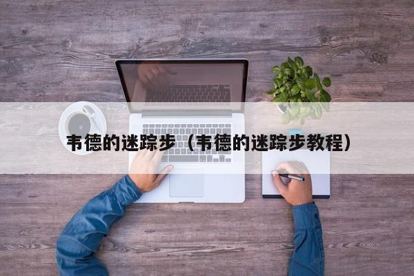 韦德的迷踪步(韦德的迷踪步教程)