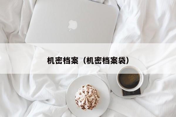 机密档案(机密档案袋)