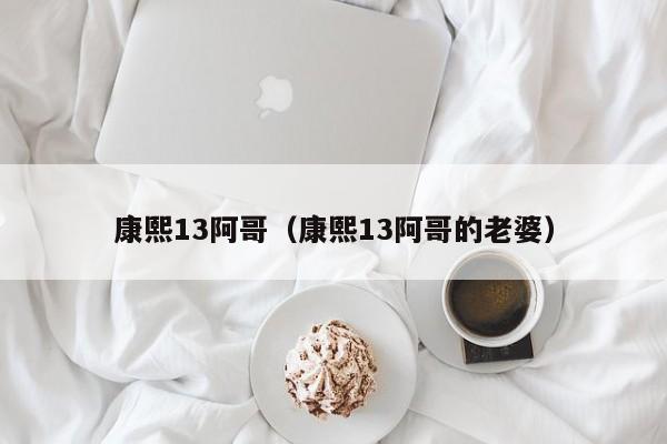 康熙13阿哥（康熙13阿哥的老婆）