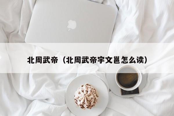 北周武帝(北周武帝宇文邕怎么读)