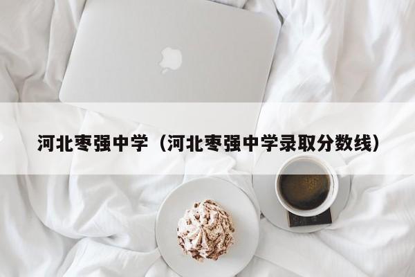 河北枣强中学(河北枣强中学录取分数线)