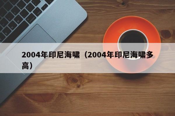 2004年印尼海啸（2004年印尼海啸多高）