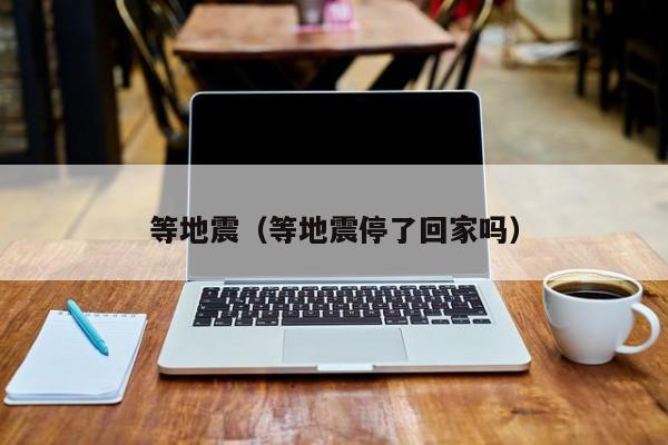等地震(等地震停了回家吗)