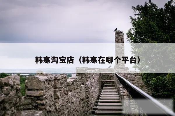 韩寒淘宝店（韩寒在哪个平台）