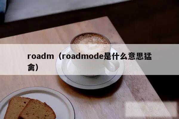 roadm（roadmode是什么意思猛禽）