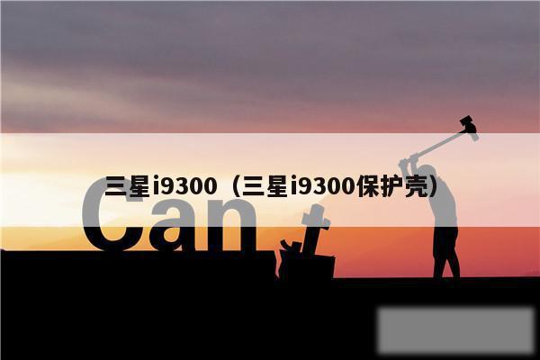 三星i9300（三星i9300保护壳）