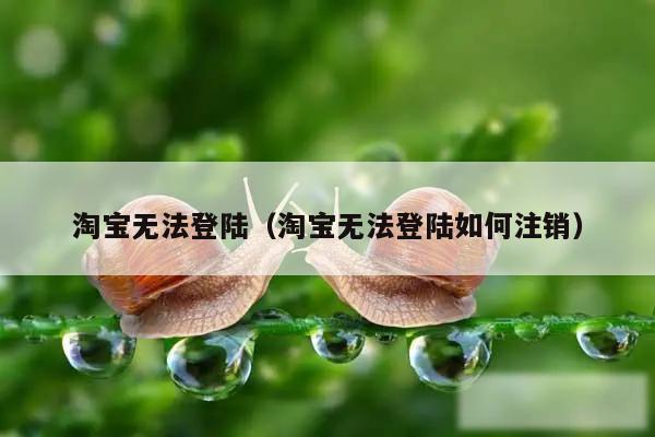 淘宝无法登陆（淘宝无法登陆如何注销）