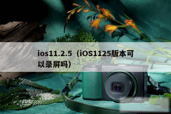 ios11.2.5（iOS1125版本可以录屏吗）