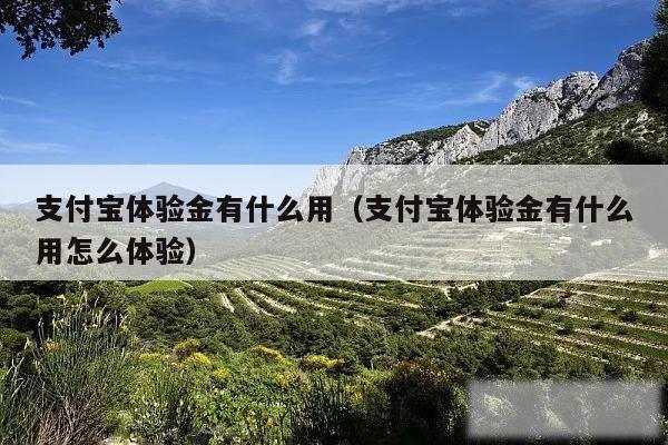 支付宝体验金有什么用（支付宝体验金有什么用怎么体验）