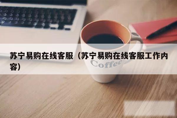 苏宁易购在线客服（苏宁易购在线客服工作内容）