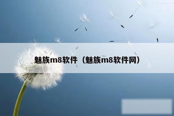 魅族m8软件（魅族m8软件网）