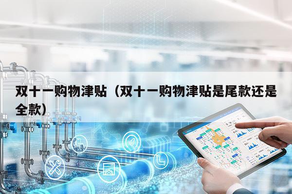双十一购物津贴（双十一购物津贴是尾款还是全款）