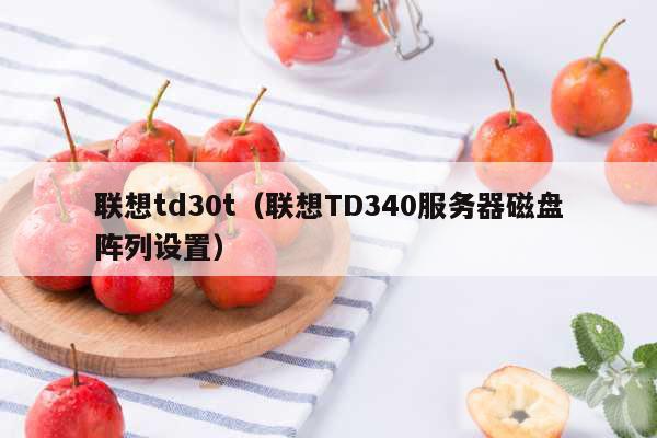 联想td30t（联想TD340服务器磁盘阵列设置）