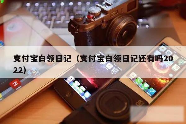 支付宝白领日记（支付宝白领日记还有吗2022）