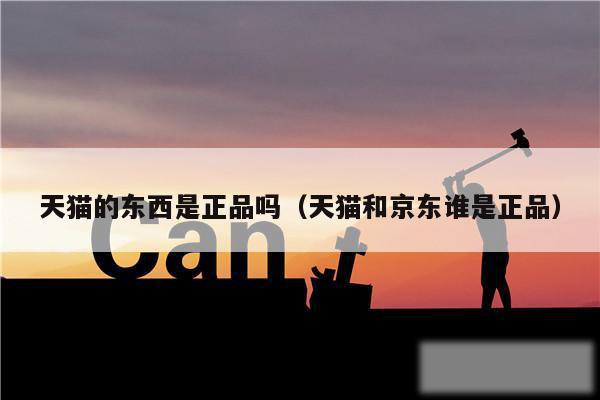 天猫的东西是正品吗（天猫和京东谁是正品）