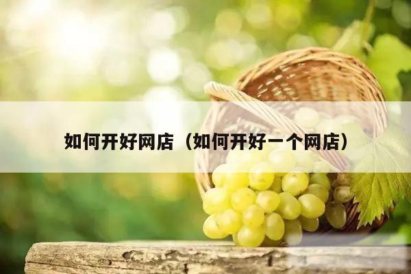 如何开好网店（如何开好一个网店）