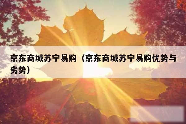 京东商城苏宁易购(京东商城苏宁易购优势与劣势)