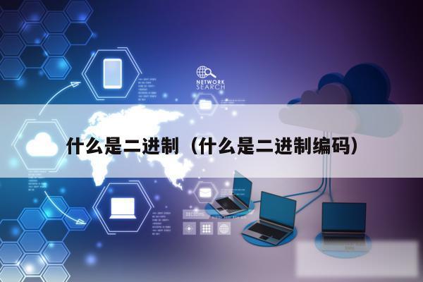 什么是二进制(什么是二进制编码)