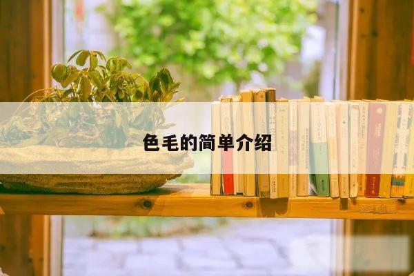 色毛的简单介绍