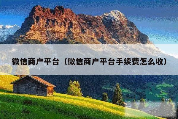 微信商户平台(微信商户平台手续费怎么收)