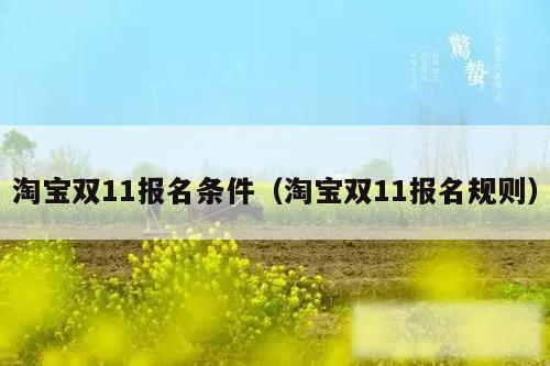 淘宝双11报名条件(淘宝双11报名规则)