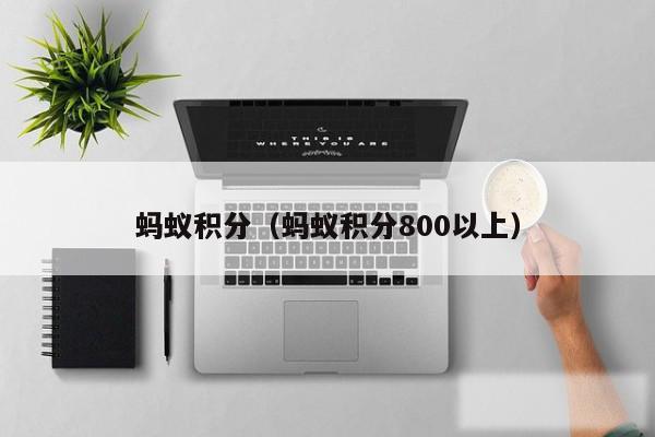 蚂蚁积分(蚂蚁积分800以上)