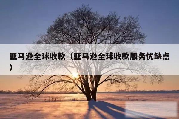 亚马逊全球收款(亚马逊全球收款服务优缺点)
