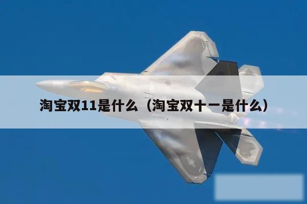 淘宝双11是什么(淘宝双十一是什么)