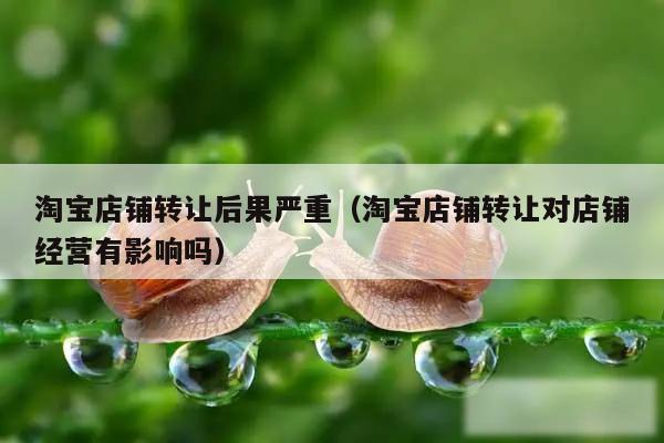 淘宝店铺转让后果严重(淘宝店铺转让对店铺经营有影响吗)