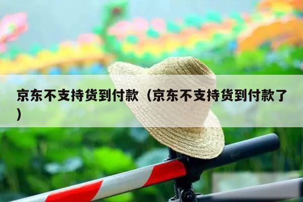 京东不支持货到付款(京东不支持货到付款了)