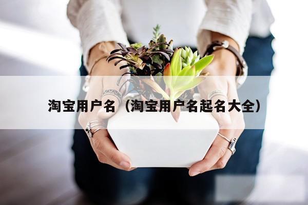 淘宝用户名(淘宝用户名起名大全)