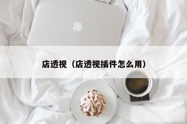 店透视(店透视插件怎么用)