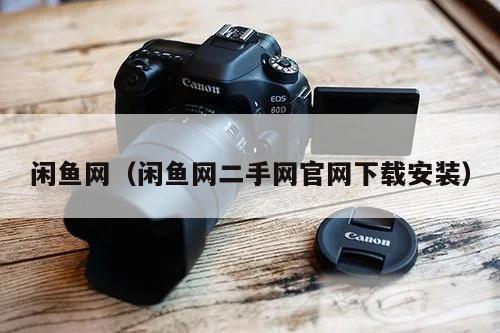 闲鱼网(闲鱼网二手网官网下载安装)