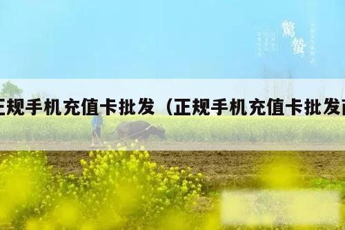 正规手机充值卡批发(正规手机充值卡批发商)
