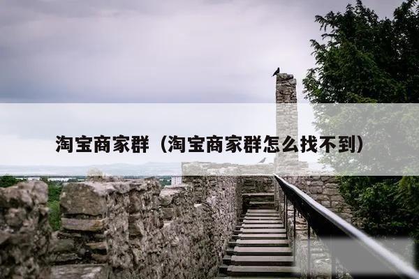 淘宝商家群(淘宝商家群怎么找不到)