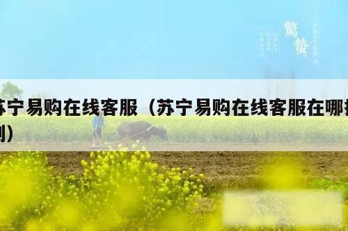 苏宁易购在线客服(苏宁易购在线客服在哪找到)