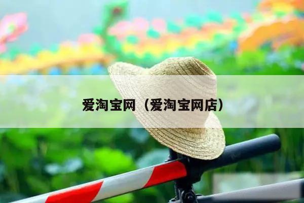 爱淘宝网(爱淘宝网店)