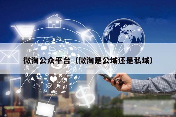 微淘公众平台(微淘是公域还是私域)