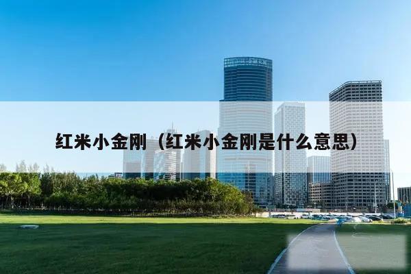红米小金刚(红米小金刚是什么意思)