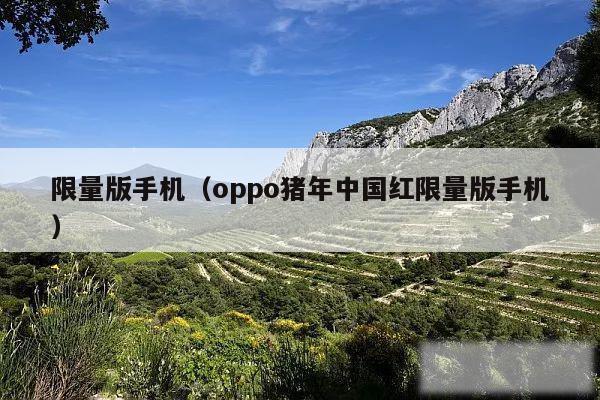 限量版手机(oppo猪年中国红限量版手机)