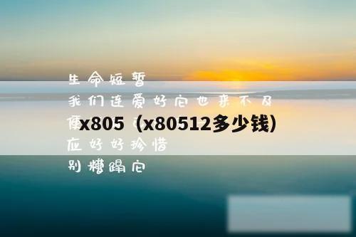 x805(x80512多少钱)